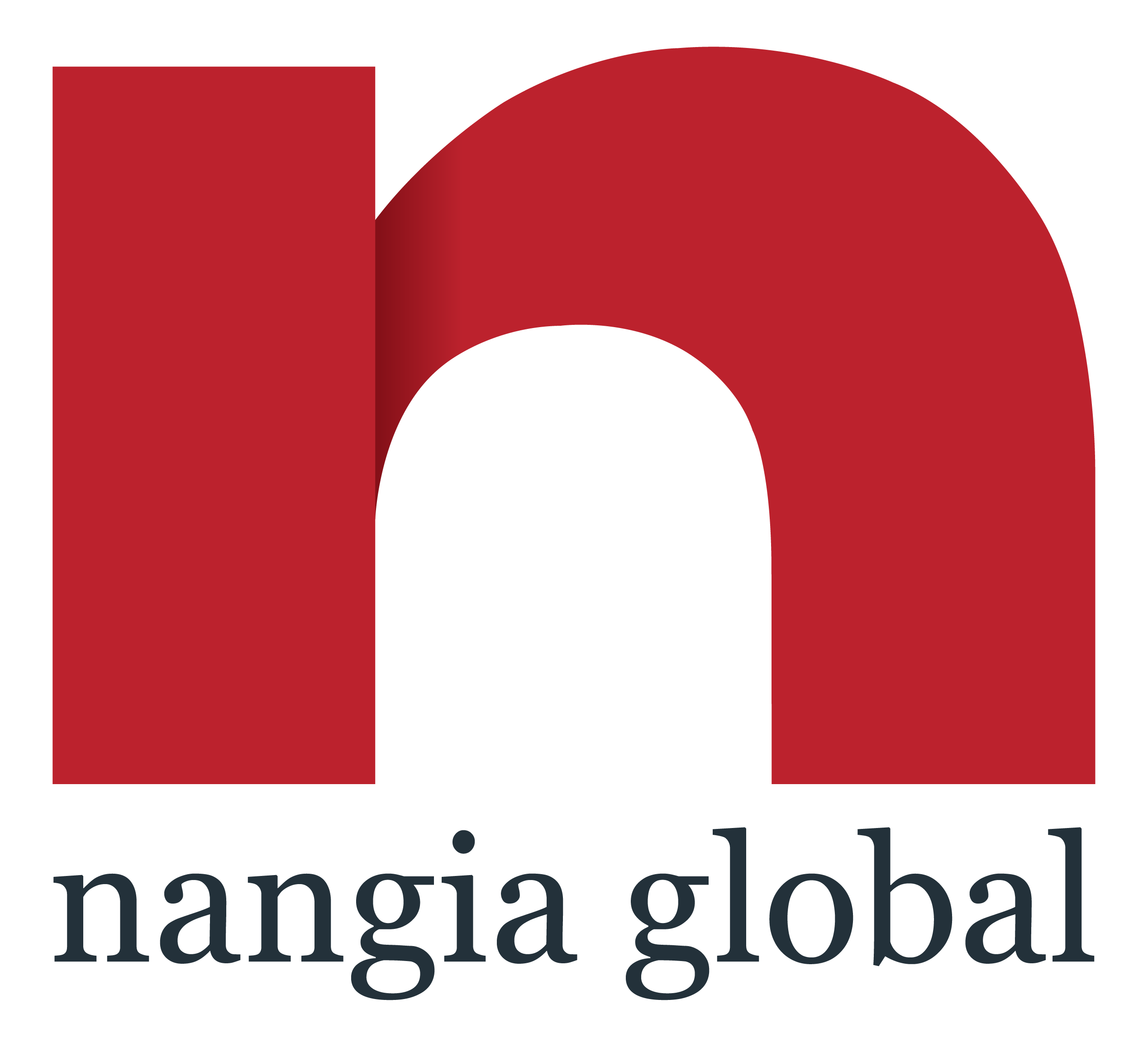 Nangia Global Logo